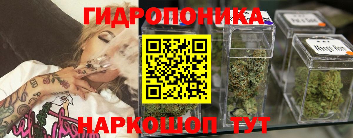 Канабис план  Конопля ГИДРОПОН  Орехово-Зуево  Вход с VPN  Шишки марихуана марихуана 